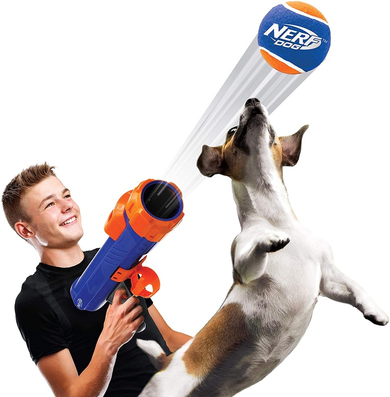 Boy launching Nerf Blaster for dog