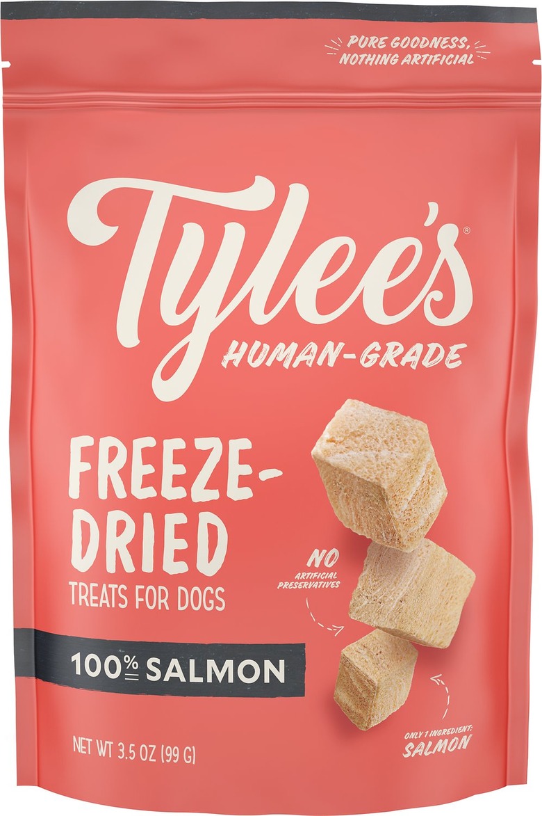 Salmon treats