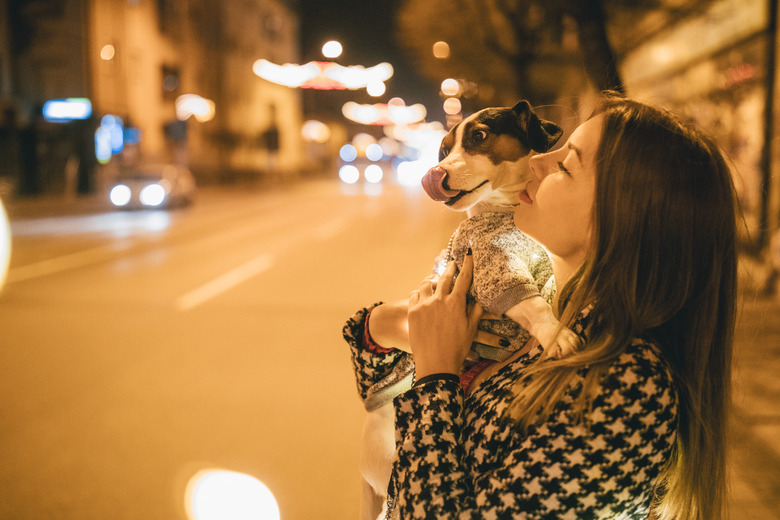 Dog walking at night