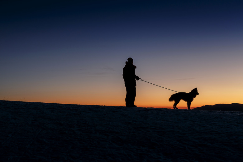 man walking dog against sunset