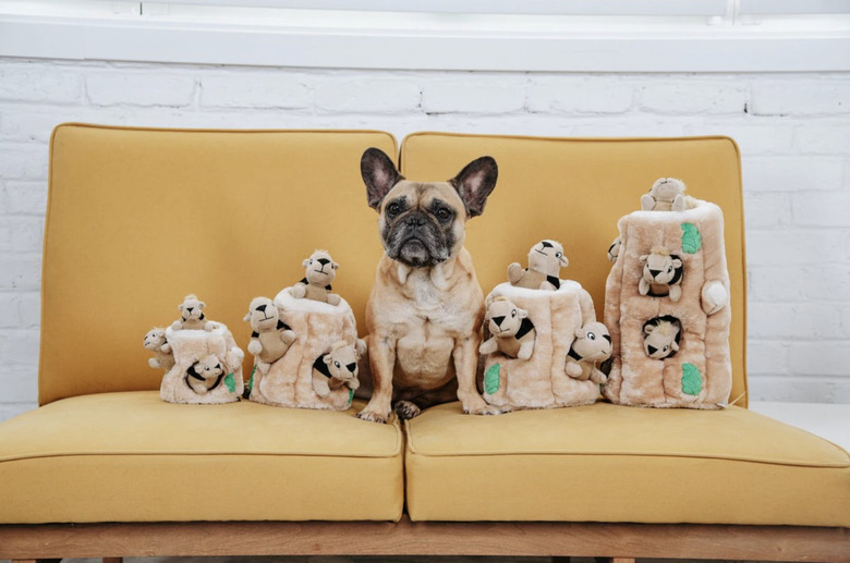 French bulldog sitting on a yellow loveseat surrounded by Outward Hound squirrel and log hide-and-seek dog toys in various sizes.