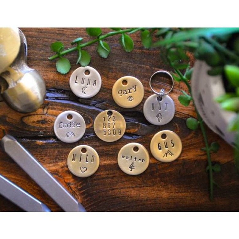 An assortment of cat ID tags