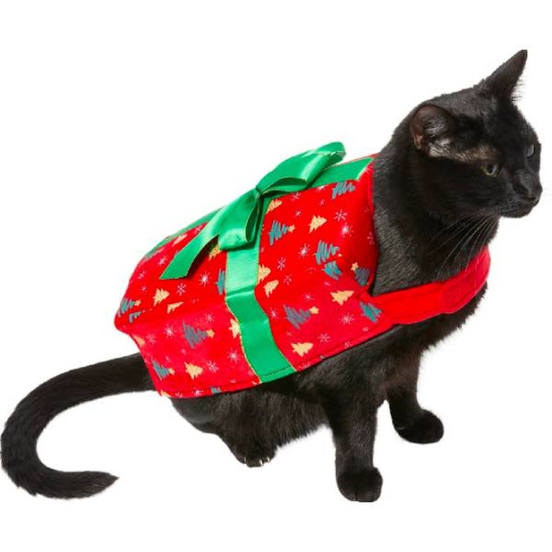 A black cat dressed as a present wearing a Frisco Holiday Giftbox Dog & Cat Costume