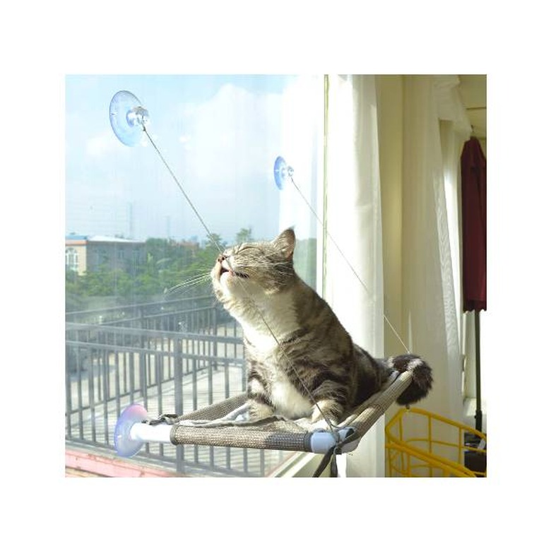 A grey and white cat resting on a PEFUNY Cat Window Perch