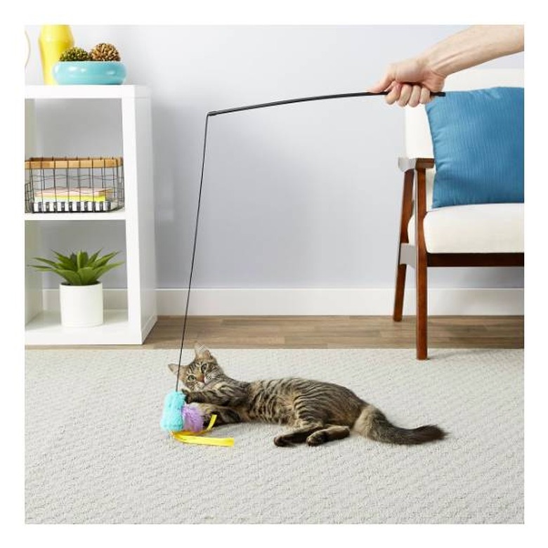 A grey cat on the ground playing with a Frisco Bird Teaser with Feathers Cat Toy