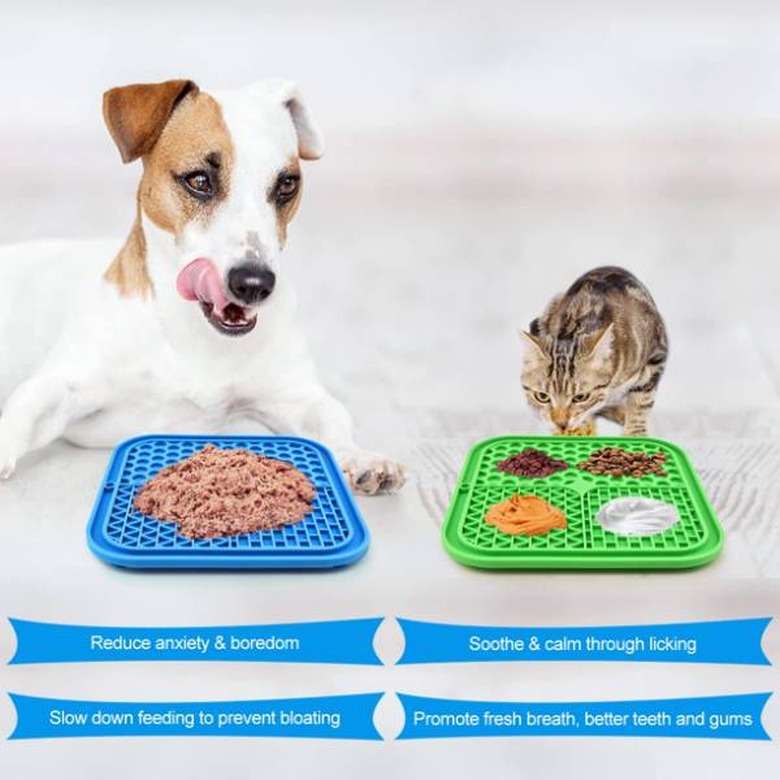 A dog and a cat licking food off of CIICII 3Pcs Slow Feeder Dog and Cat Bowls with Suction Cups