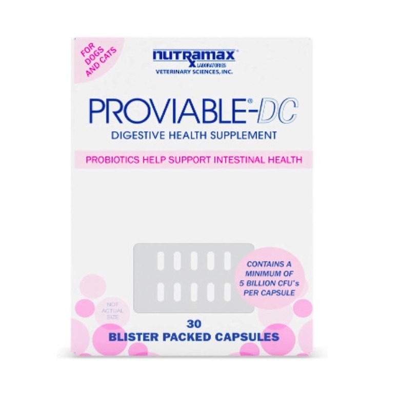 Nutramax Proviable Digestive Health Supplement Multi-Strain Probiotics and Prebiotics for Cats and Small Dogs
