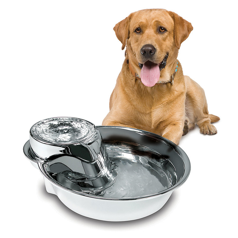 stainlesss steel pet drinking fountain