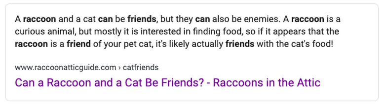 Raccoons in the Attic's answer to the google question can cats and raccoons be friends?