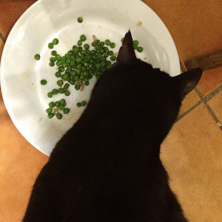 Cat eating peas