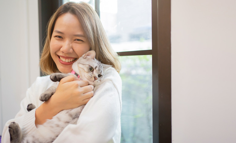 close up beautiful asian woman smile and play with charming adorable cat in living room for cat lover and lifestyle people concept