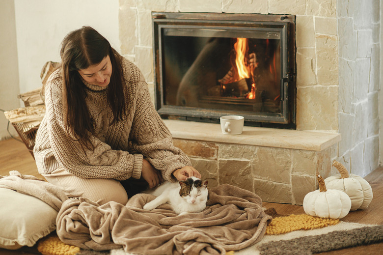 Hand caressing cute cat on cozy blanket at fireplace close up