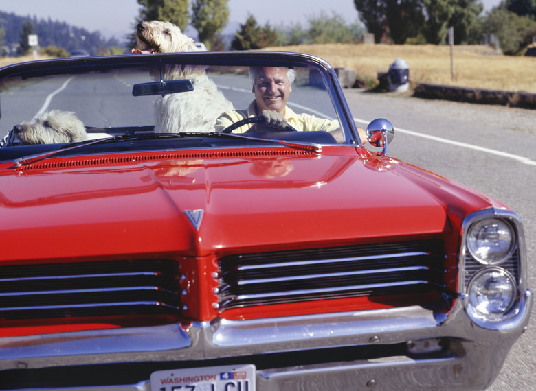 Man driving red convertible car with dogs