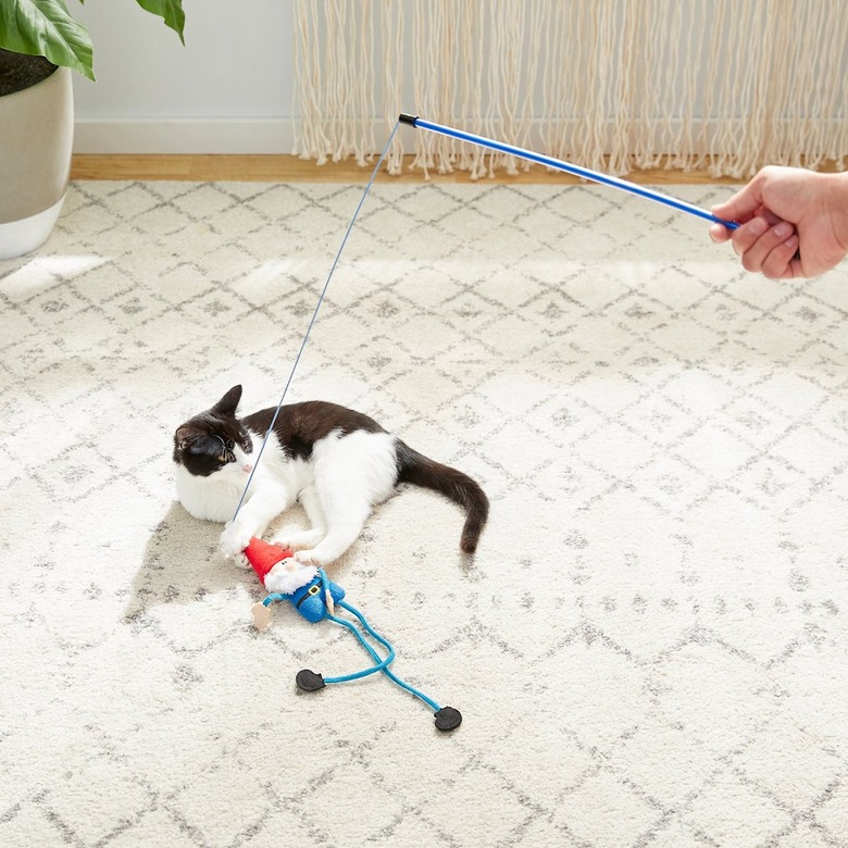 Frisco Mythical Mates Gnome Teaser Cat Toy with Catnip