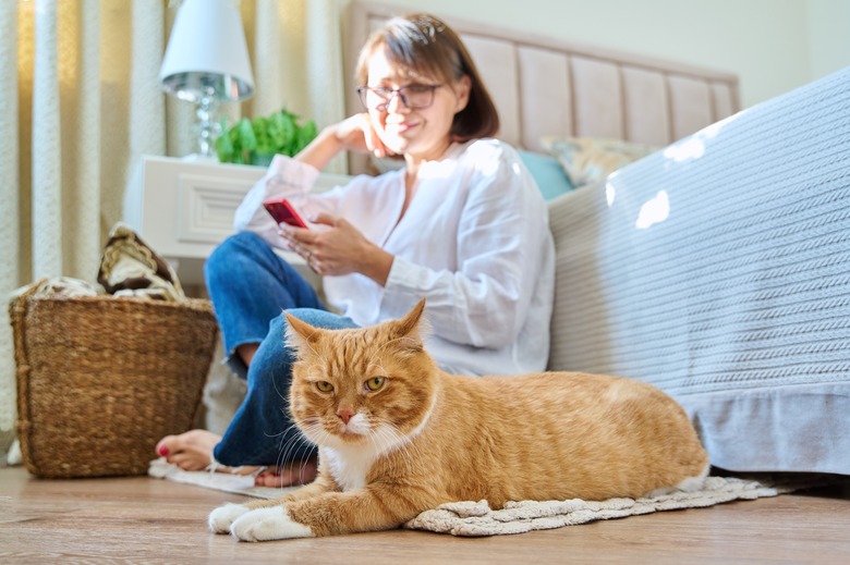 Female sitting on floor using smartphone