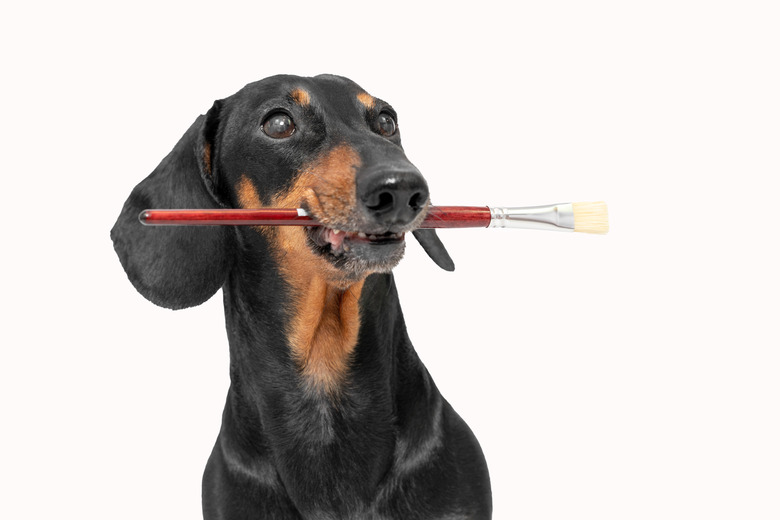 Dog artist holding in mouth paintbrush front of picture