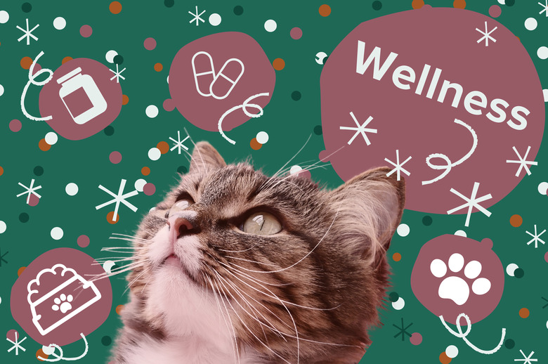 Cat on green background looking up with pink circles and confetti around them and the word wellness above them