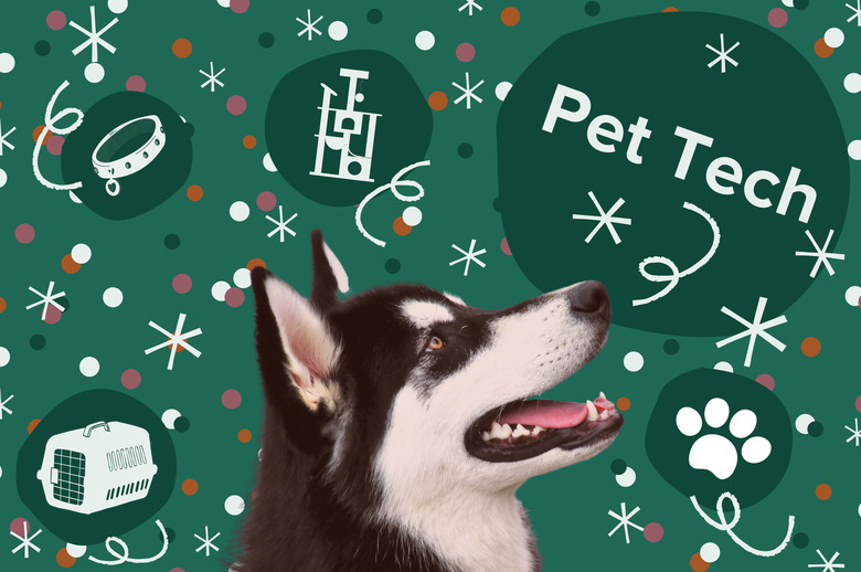 Husky on green background with green circles and confetti around them. Above them is the text pet tech