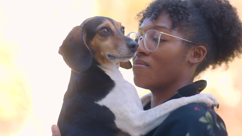 Beagle Dachshund - Rescue Dog being comforted by Owner - Owner Hugging