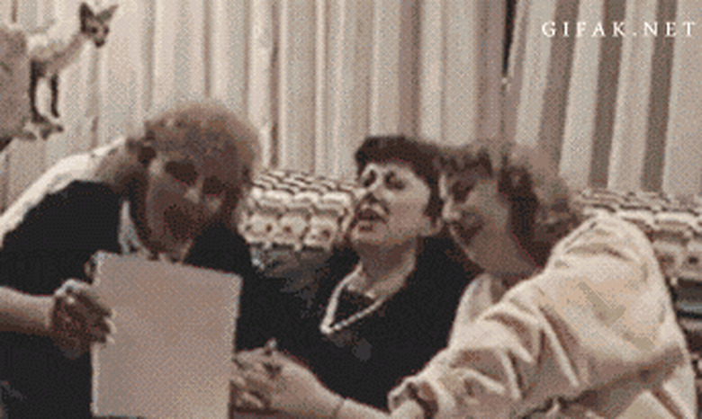 Do Dogs And Cats Know When You're Having Sex