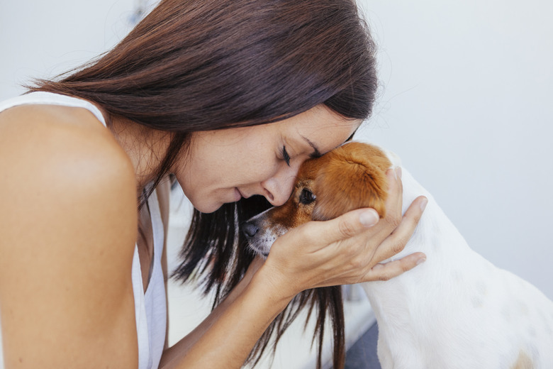 woman praying for her unhealthy dog in a clinic