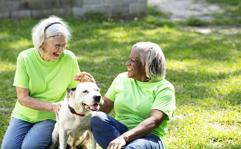 Two senior women volunteer at animal shelter