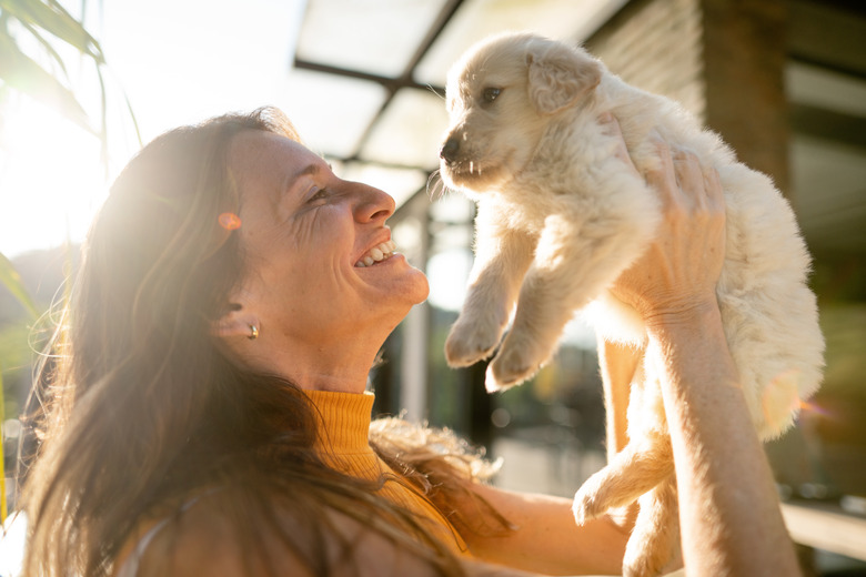 how-often-do-dogs-need-the-parvo-vaccine-cuteness