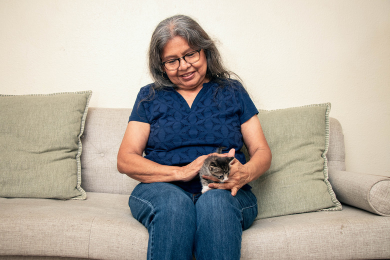 Senior Woman With Kitten In Lap