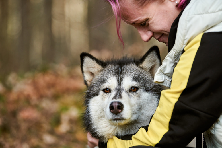 Woman with pink hair hugs beloved Siberian Husky dog