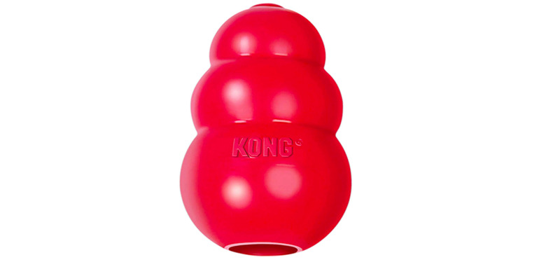 Kong toy for puppies
