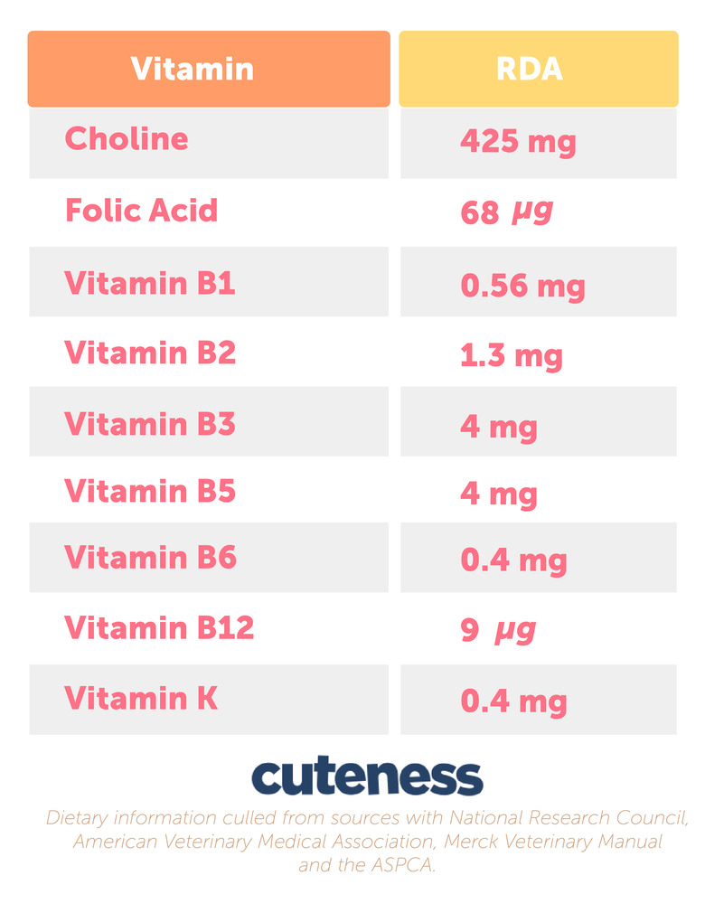 Recommended Daily Dose of Vitamins for Dogs
