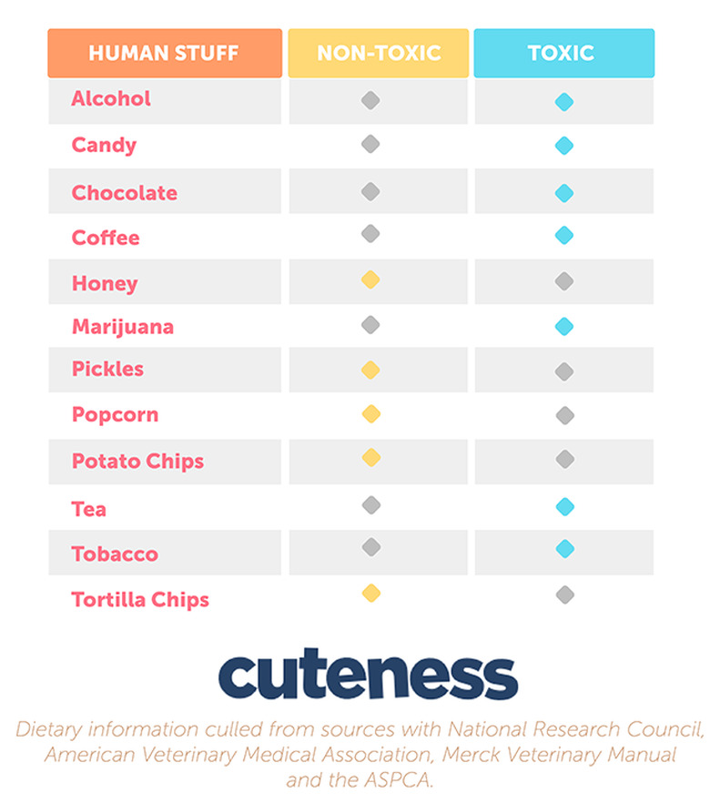An infographic of the human vices that are toxic and non-toxic to dogs