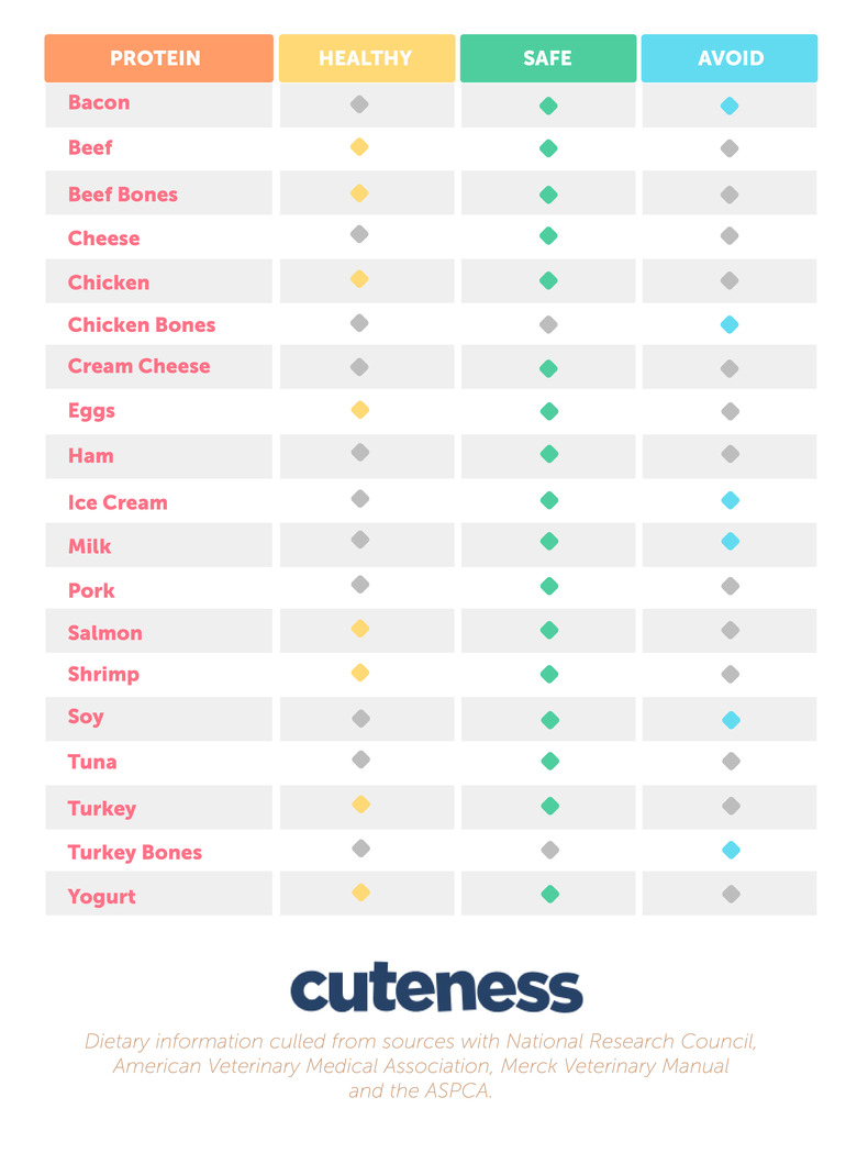 An infographic of the protein and dairy dogs can and cannot eat.