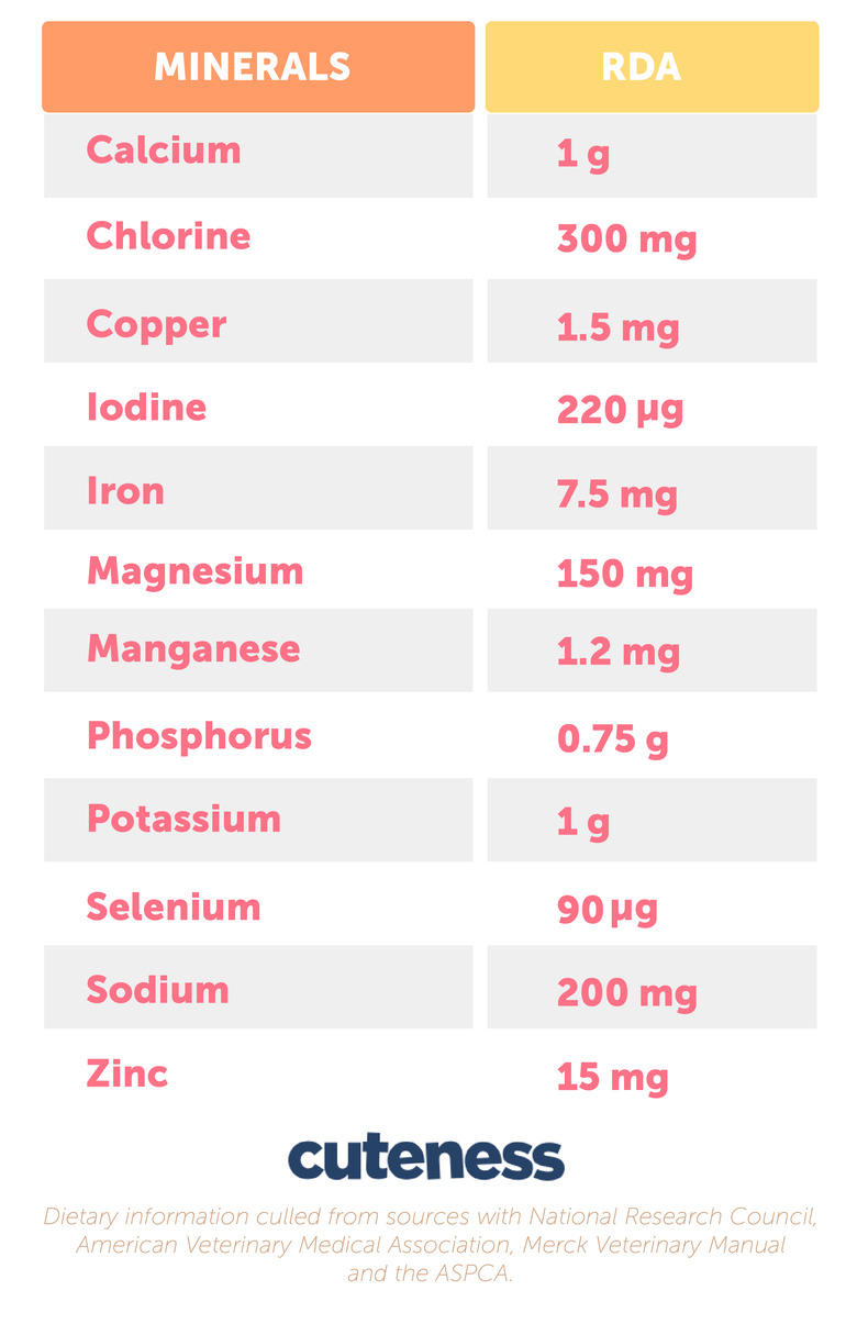 Recommended Daily Dose of Minerals for Dogs
