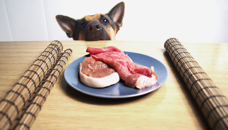 german shepherd and two steaks