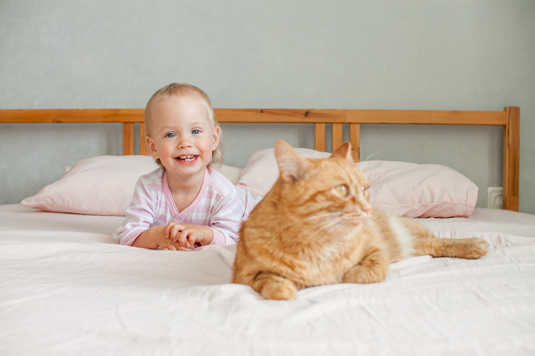 A little cute girl sits on the bed with a fat ginger cat