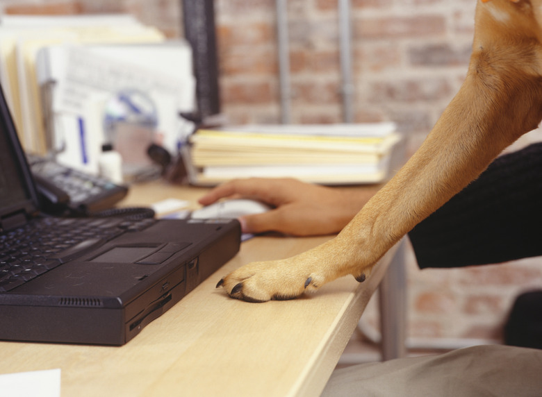 Man working with laptop