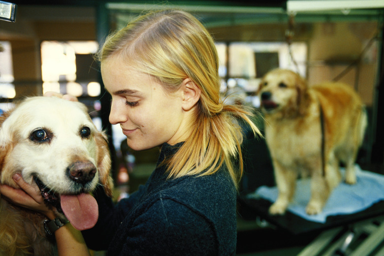 Veterinarian petting dog