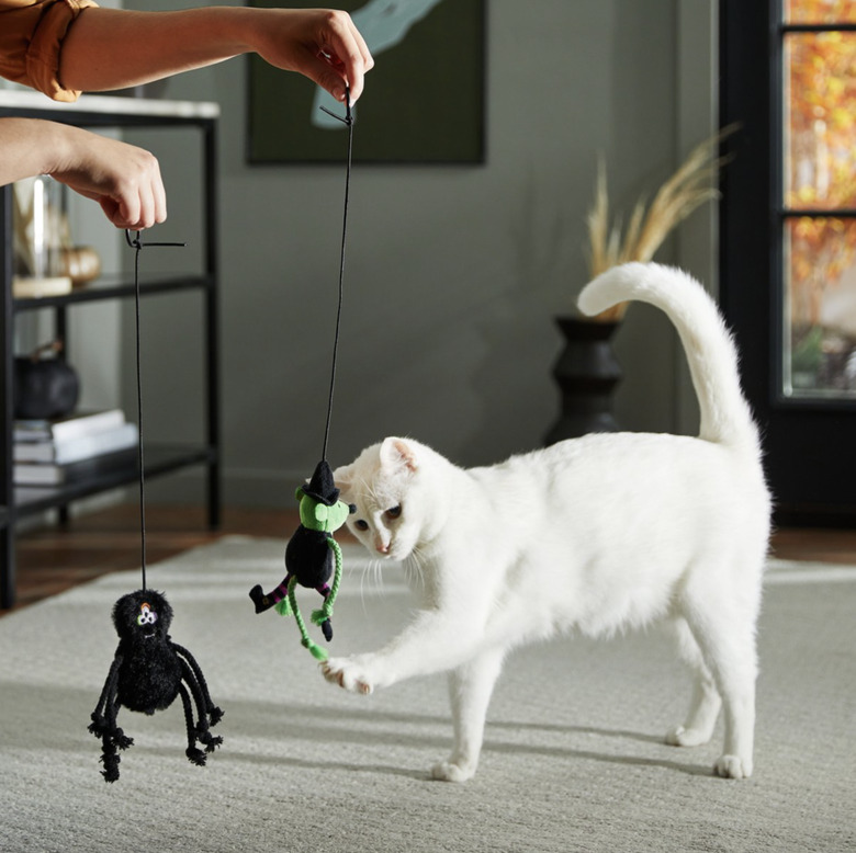 Two bouncy cat toys on strings