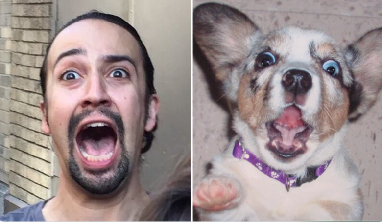 lin manuel-miranda and a dog looking excited