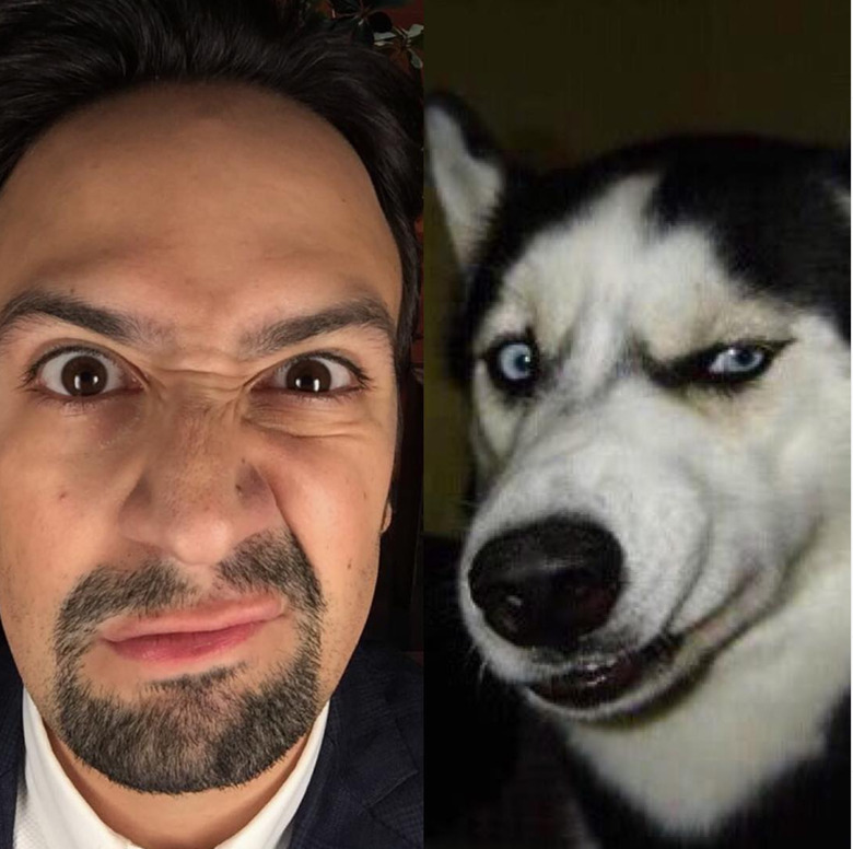 lin manuel-miranda and a dog sneering
