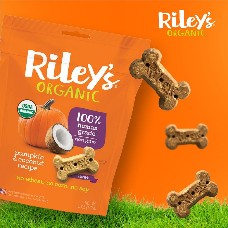 pumpkin coconut dog treats