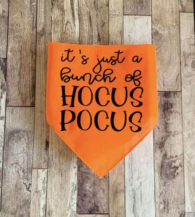 Orange triangular dog bandana with the words It's just a bunch of HOCUS POCUS written on it.
