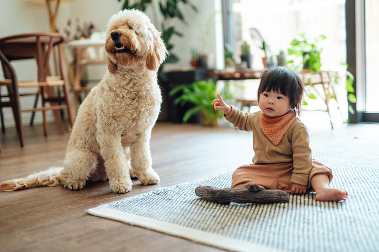 A baby sits on the floor next to a curly-haired