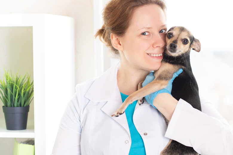 veterinary clinic