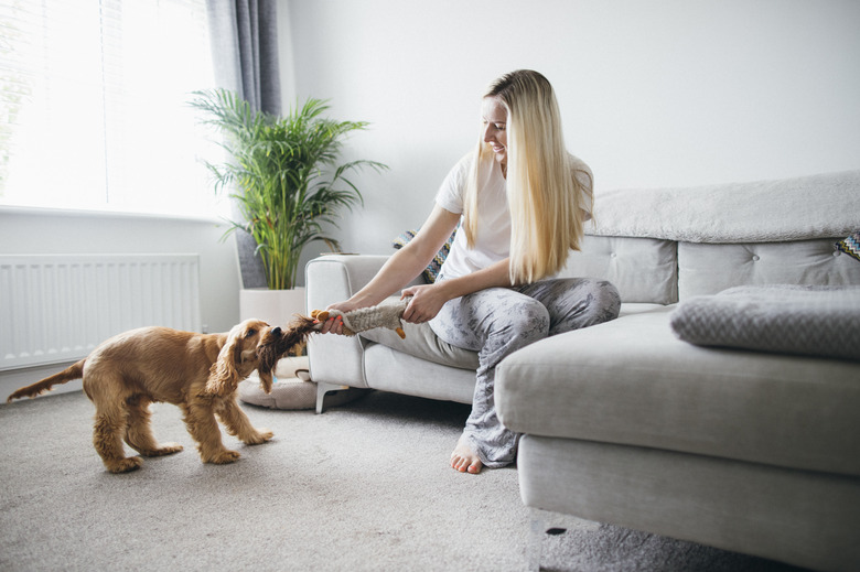 woman playing tug of war with her dog at home