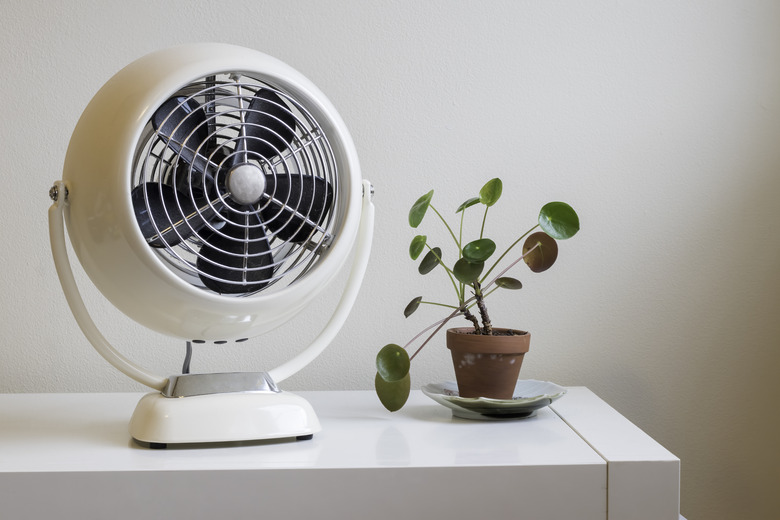 Vintage fan and small plant against plain background