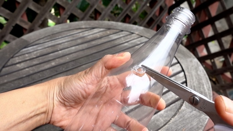 Cutting holes in bottles for DIY dog puzzle feeder.