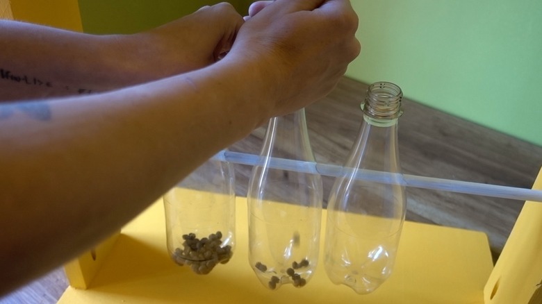 Assembling DIY dog puzzle feeder.