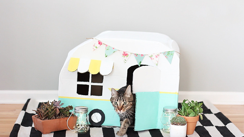 kitty inside vintage kitty camper